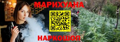 сатива Будённовск
