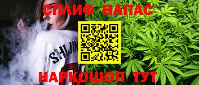 сатива Будённовск