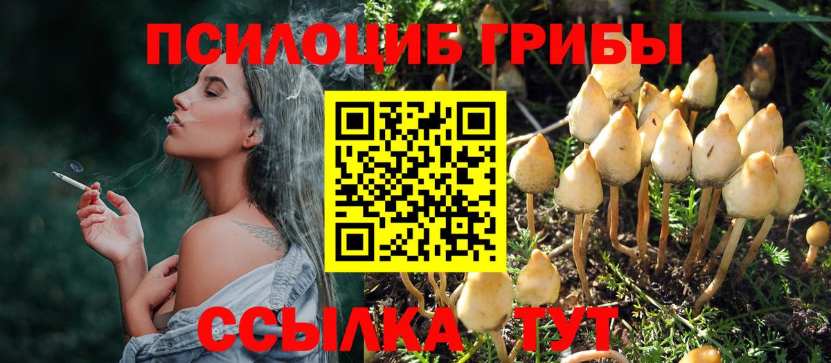 Усинск  Псилоцибиновые грибы Cubensis  Вход с VPN  Галлюциногенные грибы Psilocybine cubensis 