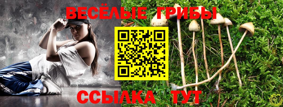 Галлюциногенные грибы ЛСД Усинск